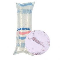 copepods voor zee aquarium