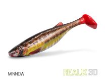 Delphin Artificial Lure Realix 3D 13 cm 2 stuks Minnow