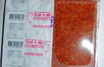 Gammarus 100 Gram Blister