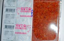 Gammarus 100 Gram Blister