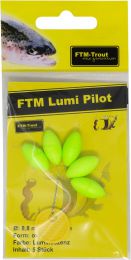 FTM Lumi pilot 