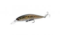 Shimano Bron gold tiger