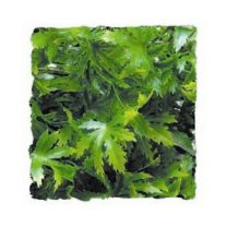 Zoo Med Kunst Planten Small Cannabis 36 cm