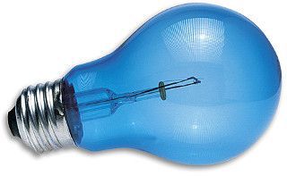 Zoo Med Daylight Blue Reptile Bulb 100 Watt Baitshop