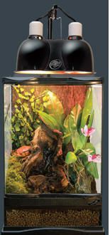 Zoo Med Mini Deep Dome Combo – Confezione Da 2 Lampade A Cupola Per Rettili, Adatte Per Lampade Riscaldanti E UV