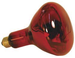 Zoo med nocturnal infrared heat lamp 150w sales
