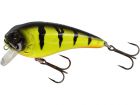 Westin Fatbite Crankbait Fire Perch 8 cm