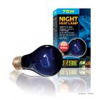 Exo Terra Night Heat Lamp 75 Watt