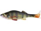 Westin Original Perch 12cm Real Perch