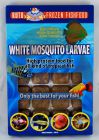 Witte Muggenlarven in blisterverpakking