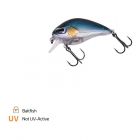 Zeck fishing baitfish plug