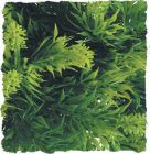 Zoo Med Kunst Planten Small Malaysian Fern 36 cm